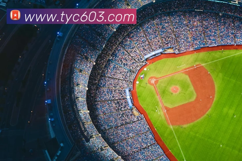 太阳城官网平台生态图